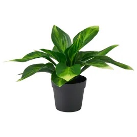 ikea-fejka-sztuczna-roslina-doniczkowa-funkia-zielona-9-cm