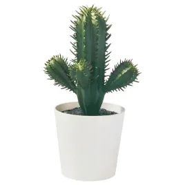 ikea-fejka-sztuczna-roslina-doniczkowa-kaktus-zielony-6-cm