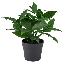 ikea-fejka-sztuczna-roslina-doniczkowa-wawrzyn-zielony-9-cm