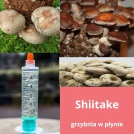 grzybnia-w-plynie-shiitake-10-ml-lc-szybka-kolonizacja-podloza