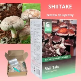 profesjonalny-zestaw-shiitake-or-sterylizacja-podloza-i-grzybnia-plynna