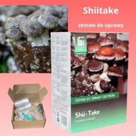 zestaw-do-uprawy-shiitake-stworz-wlasne-podloze-grzybni-w-domu