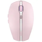 cherry-gentix-bt-cherry-blossom