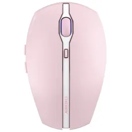 cherry-gentix-bt-cherry-blossom