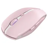 cherry-gentix-bt-cherry-blossom