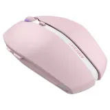 cherry-gentix-bt-cherry-blossom