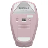 cherry-gentix-bt-cherry-blossom