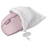 cherry-gentix-bt-cherry-blossom