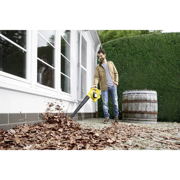 karcher-lbl-4-battery