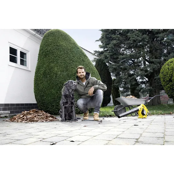 karcher-lbl-4-battery