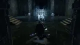 hell-is-us-pl-ps5-tryb-gry-singleplayer