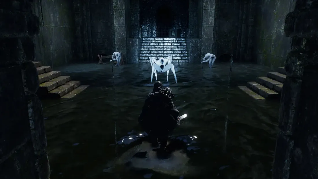 hell-is-us-pl-ps5-stan-nowy