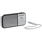 technisat-techniradio-rdr-srebrny