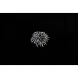 nanlite-gobo-set-2