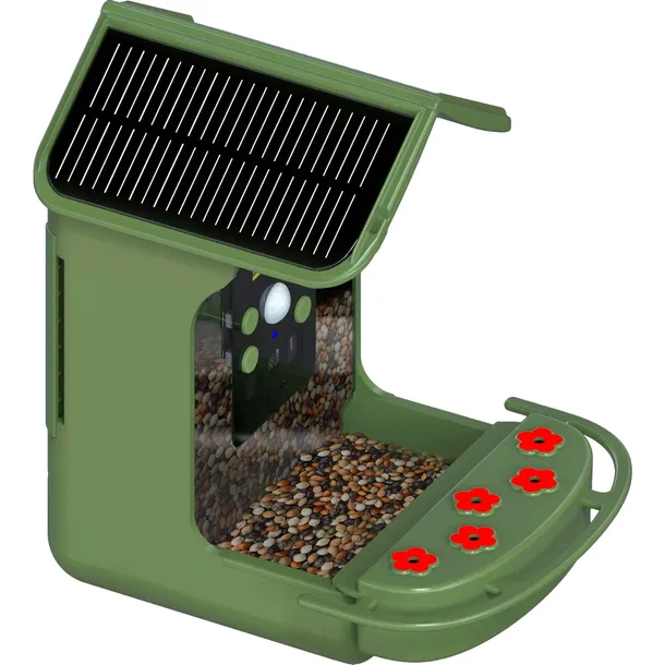 easypix-bird-cam