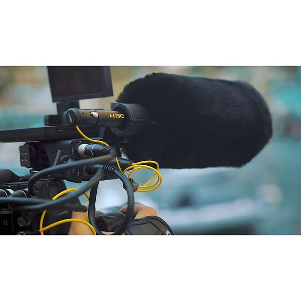 deity-s-mic-3