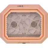 the-tower-300-peach-fuzz