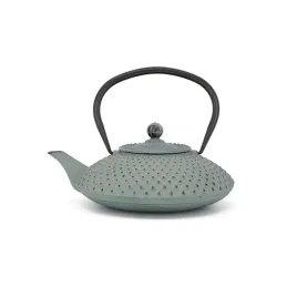bredemeijer-teekanne-xilin-125l-gusseisen-hellgrun-153090