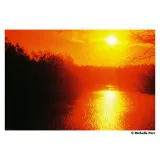 harman-red-125-120