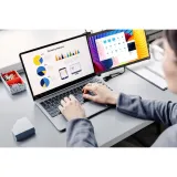 mobile-pixels-duex-max-ds-141-bildschirmerweiterung