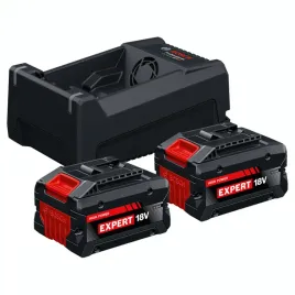 bosch-zestaw-star-2x-exba18v-55-gal12v-18v-80