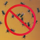 spray-na-muchy-muchozol-preparat-killer-rodzaj-rozpylacz-aerozol
