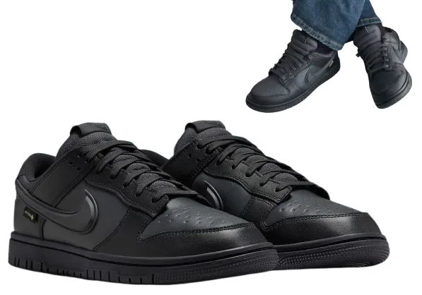 nike-dunk-low-gtx