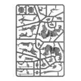 stormcast-eternals-dracothian-guard-minimalna-liczba-graczy-nie-dotyczy
