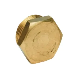 zatyczka-zaslepka-mosiezna-do-lini-wodnej-wody-gz-1-4-cala-bsp