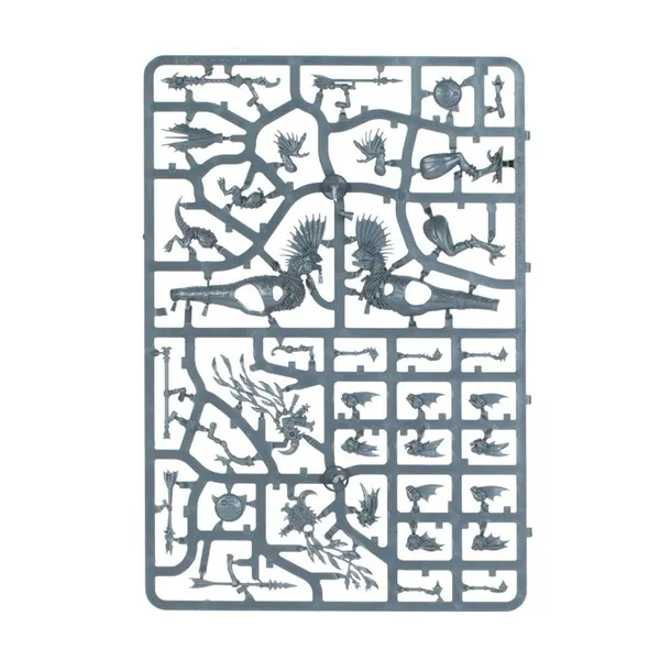 seraphon-raptadon-hunters-wiek-dziecka-14-lat