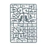 seraphon-raptadon-hunters-wiek-dziecka-14-lat
