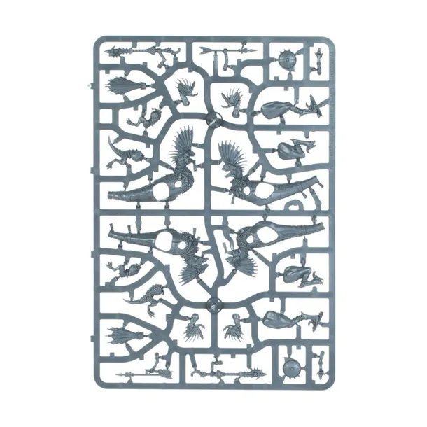 seraphon-raptadon-hunters-minimalna-liczba-graczy-nie-dotyczy