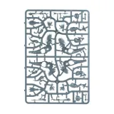 seraphon-raptadon-hunters-minimalna-liczba-graczy-nie-dotyczy