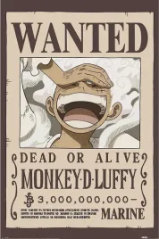 one-piece-wanted-luffy-plakat-61x915cm