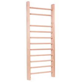 drabinka-gimnastyczna-do-sciany-master-70-x-240-cm