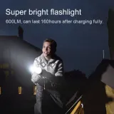 ecoflow-camping-light