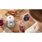 bosch-mmb2111t-mini-vitapower-seria-2