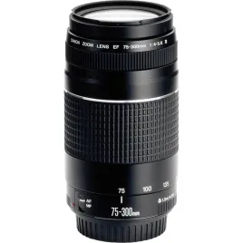 canon-ef-dc-40-56-75-300-iii