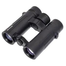 braun-compagno-10x34-wp