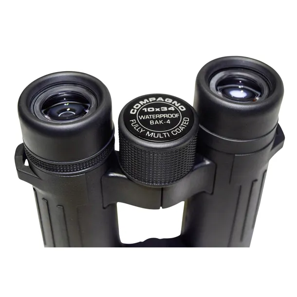 braun-compagno-10x34-wp