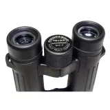 braun-compagno-10x34-wp