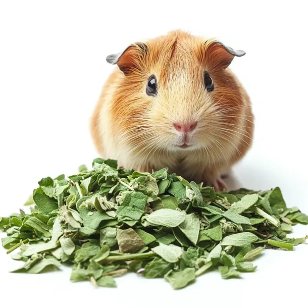 koniczyna-80g-herbal-pets-stan-nowy
