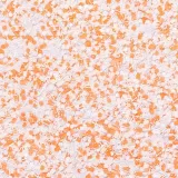 pylek-do-paznokci-rush-effect-nr-10-marka-allepaznokcie