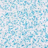 pylek-do-paznokci-rush-effect-nr-13-marka-allepaznokcie