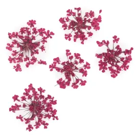 suszone-kwiatki-do-paznokci-mollylac-fuchsia