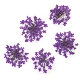 suszone-kwiatki-do-paznokci-mollylac-purple