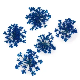 suszone-kwiatki-do-paznokci-mollylac-royal-blue