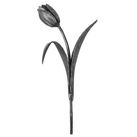 tulipan-kuty-h410-x-l170-mm