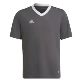 koszulka-dziecieca-adidas-entrada-22-jersey-sportowa-wf-164-szara