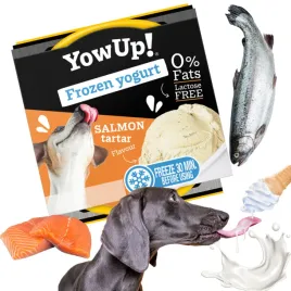 lody-dla-psa-przysmak-na-lato-yow-up-o-smaku-lososia-do-mrozenia-na-upaly